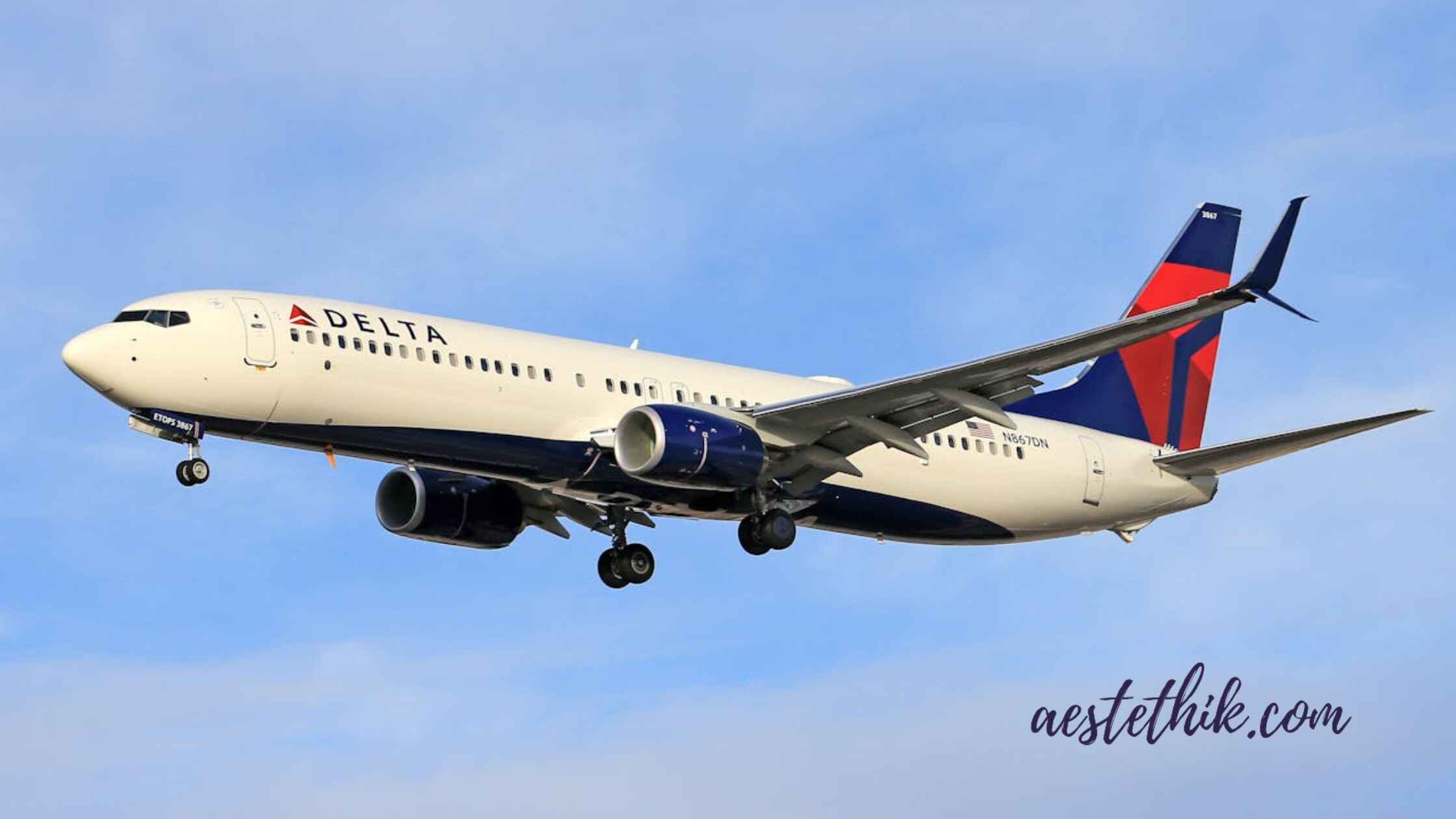 The Best Guide to Delta Airlines — Tickets & Reservations — Aestethik