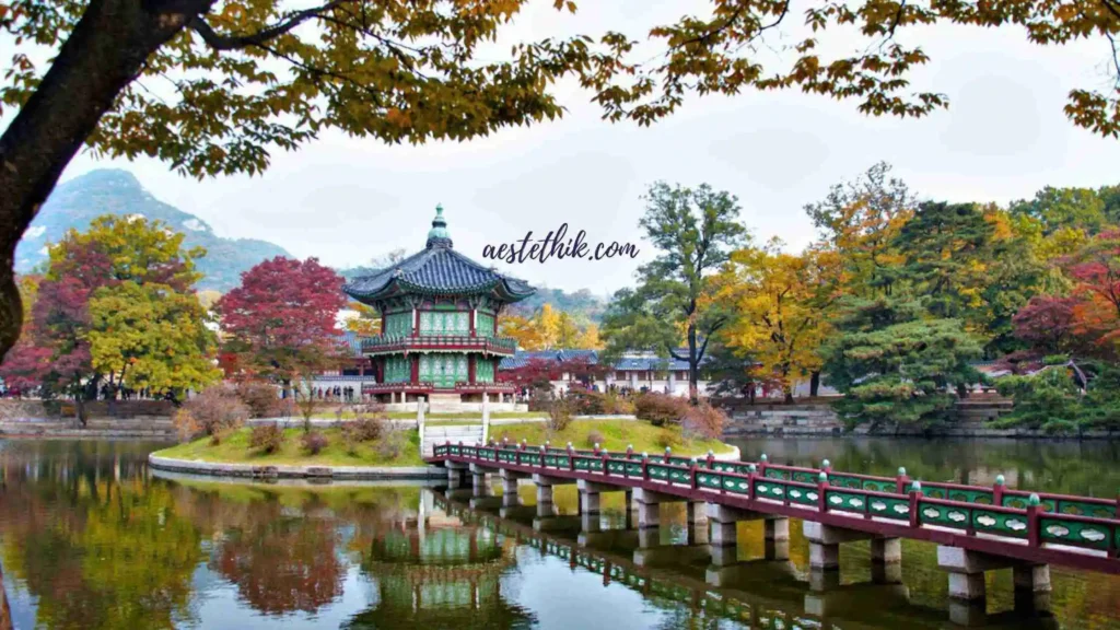 Glowmads in Seoul, South Korea